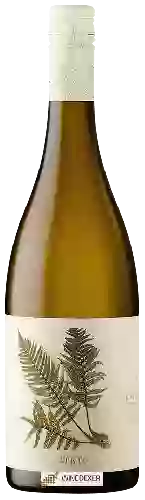 Bodega Fento - Blanco