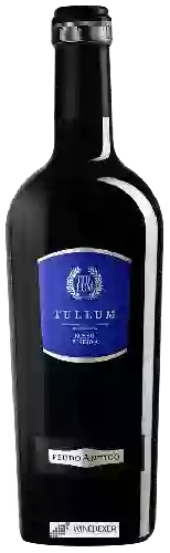 Bodega Feudo Antico - Tullum Rosso Riserva