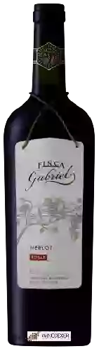 Bodega Finca Gabriel - Merlot Roble