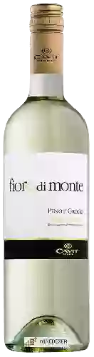 Bodega Fiore di Monte - Pinot Grigio