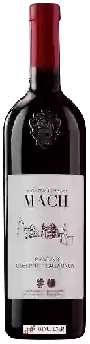 Bodega Fondazione Edmund Mach - Cabernet Sauvignon Trentino