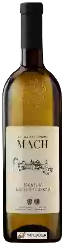 Bodega Fondazione Edmund Mach - Müller Thurgau Trentino