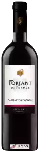 Bodega Fortant - Cabernet Sauvignon