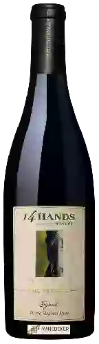 Bodega 14 Hands - The Reserve Syrah