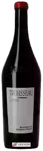 Bodega Bénédicte et Stéphane Tissot - Trousseau Qvevri