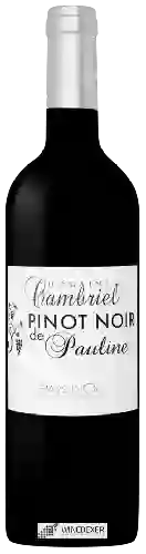Château Cambriel - Pinot Noir de Pauline