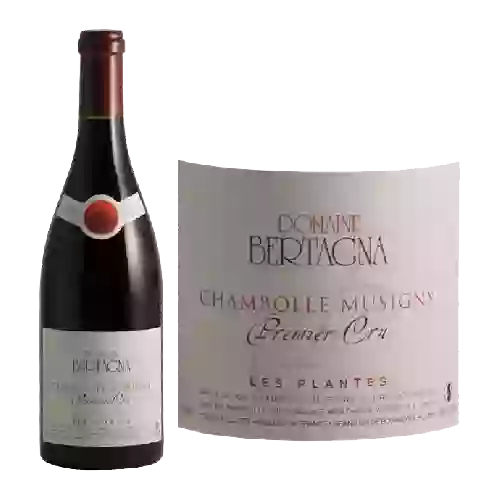 Bodega Nicolas Potel - Bourgogne Pinot Noir Vieilli en Fût de Chêne