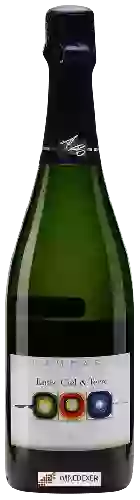 Bodega Francoise Bedel - Entre Ciel et Terre Brut Champagne
