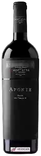 Bodegas Frontaura - Aponte Reserva