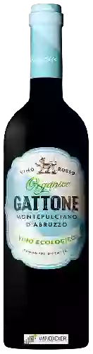 Bodega Gattone - Montepulciano d'Abruzzo