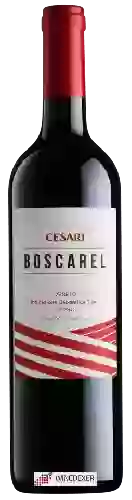 Bodega Cesari - Boscarel Veneto
