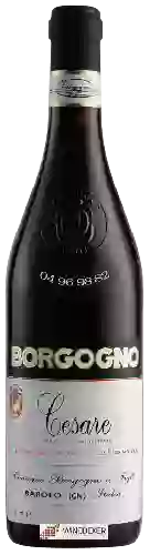 Bodega Borgogno - Cesare Barolo