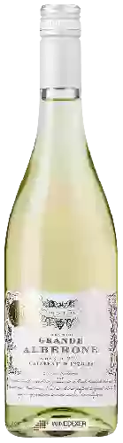 Bodega Grande Alberone - Bianco