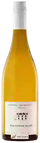 Bodega Guy Allion - Domaine des Mazelles Thézée Sauvignon Blanc