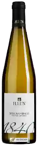 Bodega H. Lun - Moscato Giallo '1840'