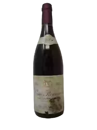 Bodega Haegelen-Jayer - Nuits-Saint-Georges 1er Cru 'Les Damodes'