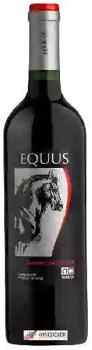 Bodega Haras de Pirque - Equus Cabernet Sauvignon