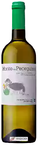 Bodega Malhadinha Nova - Alentejano Monte da Peceguina Branco