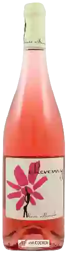 Bodega Hervé Villemade - Cheverny Rosé