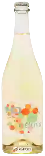 Bodega Highdef - Bubbly Riesling