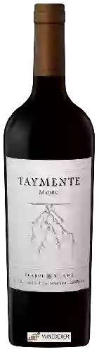 Bodega Huarpe - Taymente Malbec