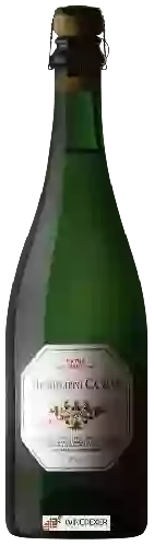 Bodega Humberto Canale - Extra Brut