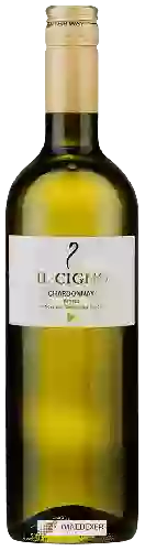 Bodega Il Cigno - Chardonnay