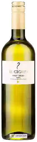 Bodega Il Cigno - Pinot Grigio