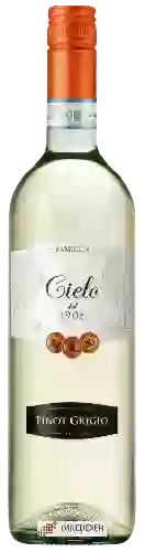 Bodega Cielo e Terra - Pinot Grigio