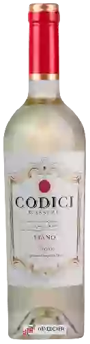 Bodega Codici - Masserie Fiano