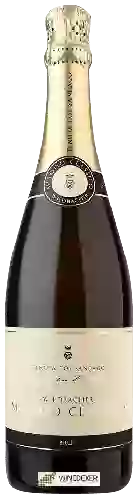 Bodega Tenuta Col Sandago - Wildbacher Brut