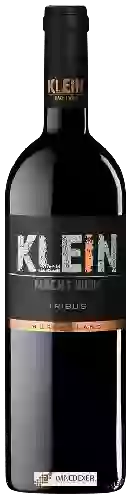 Bodega Jacqueline Klein - Tribus