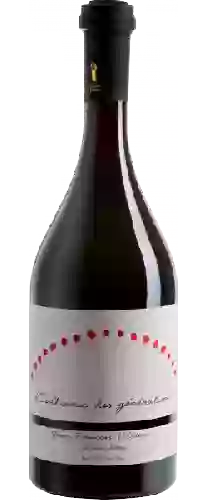 Bodega Jean François Mérieau - Cabernet Franc - Malbec 'Les Grands Champs'