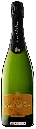 Bodega Joan Colet Rius - Cava Reserva Brut Nature