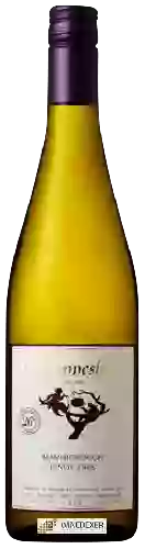 Bodega Johanneshof Cellars - Pinot Gris