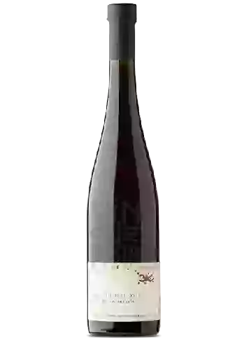 Bodega Julien Meyer - Fanny Elisabeth Pinot Gris Maceration Nature