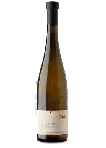 Bodega Julien Meyer - Les Pucelles Gewürztraminer Macération Orange Nature