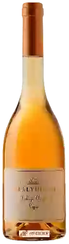 Bodega Királyudvar - Tokaji Aszú Lapis