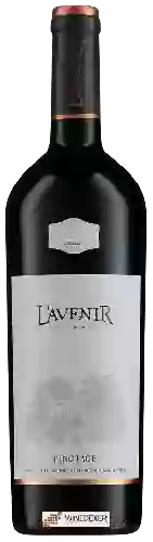 Bodega L'Avenir - Provenance Pinotage