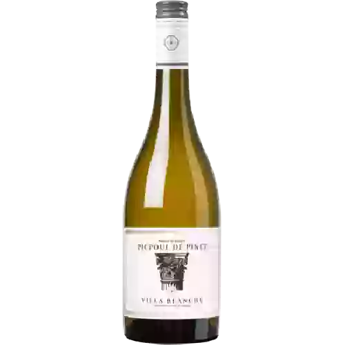 Cave de l'Ormarine - Domaine de la Majone Picpoul de Pinet Blanc de Blancs