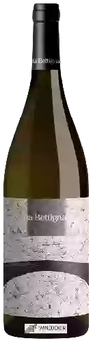 Bodega La Bettigna - Vermentino Colli di Luni