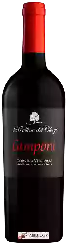 Bodega La Collina dei Ciliegi - Camponi