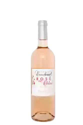 Domaine le Clos du Bailly - Le Collection Illustrée Rosé