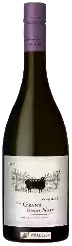 Bodega Le Grand Noir - Pinot Noir