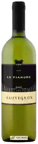 Bodega Le Pianure - Sauvignon