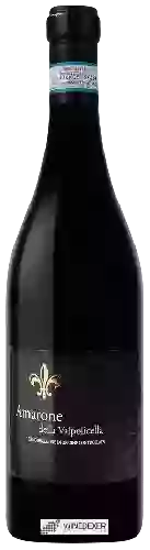 Bodega Le Tobele - Rialze Amarone della Valpolicella