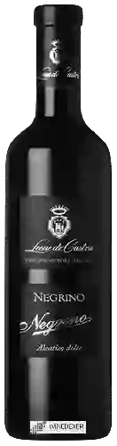 Bodega Leone de Castris - Negrino Aleatico Dolce