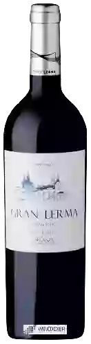 Bodega Lerma - Gran Lerma Finca el Borro Tempranillo