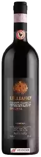 Bodega Tenuta di Lilliano - Chianti Classico Riserva