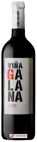 Bodega Finca Los Aljibes - Viña Galana Garnacha Tintonera